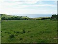 A circular coastal walk from Osmington [9]