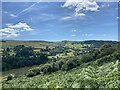 Across the Swansea valley