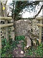 Stone Stile, Colerne GS5701