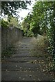 Steps to a park