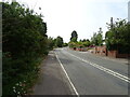 Basingstoke Road, Riseley (B3349)