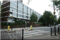 Zebra crossing over Manchester Road