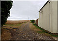 Track to Warsett Hill running past Brough Cottage, Brotton