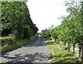 Country road past Dilston West Cottages