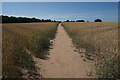 Footpath near Woodloes Farm