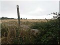 Stone Stile, Marshfield