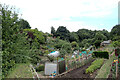 Allotments seen from Windsor Road, Saltburn