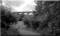 Saltburn Railway Viaduct