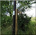 Footpath sign to Ladycutters Lane