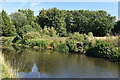 Stratford-upon-Avon Canal near King