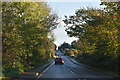 J5151 : Downpatrick Road by N Chadwick