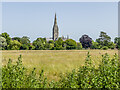 SU1429 : Salisbury Cathedral across the water meadows by Ian Capper