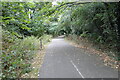 The Great Eastern Linear Park #4 The cemetery is on the right