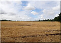 A view from the Cleveland Way near Thorny Close Wood, Skelton