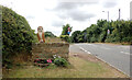 Owl Sculpture, Saltburn Lane, Skelton