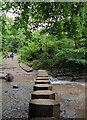 Stepping stones over Skelton Beck