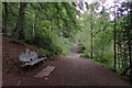 The Cleveland Way, Rifts Wood Saltburn Valley Gardens