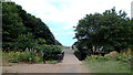 A bridge over Skelton Beck, Saltburn Valley Gardens, Saltburn-by-the-Sea