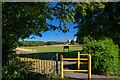 Bristol : Arnall Drive Open Space