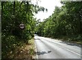 Fleet Road (A323)