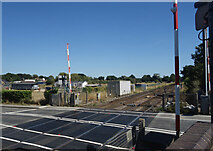 SU8950 : Ash Station Level Crossing by Des Blenkinsopp