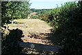 Start of footpath towards railway line