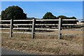 Field by Whitwell Road, Codicote