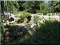 Bridges over the River Frome