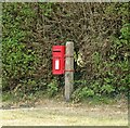 Elizabeth II postbox on Buffins Road, Odiham