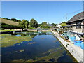 ST8204 : Houghton Springs Fish Farm, Winterbourne Houghton by Vieve Forward