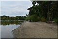 A walk around Petersfield lake, with a difference : Fishing from the beach