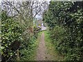 Bridleway at Pengersick