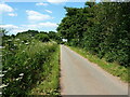 Country lane heading towards Whitehouse Farm