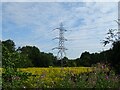 Pylon in field, Chertsey