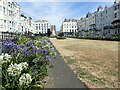 The garden at New Steine