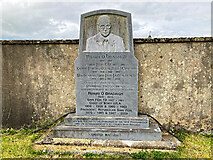M8587 : War of Independence Commemorative Military Memorial (7), near Shankill Cross, Co. Roscommon by L S Wilson