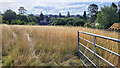 Small grassy paddock in Cowley