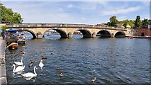 SU7682 : Henley Bridge by Mark Percy