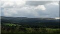 Farmland and woods