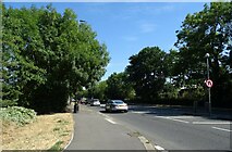 TQ1567 : Hampton Court Way (A309) by JThomas