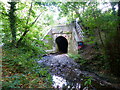 Bridge where the River Rea passes under the main line railway, Northfield