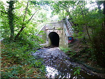 SP0278 : Bridge where the River Rea passes under the main line railway, Northfield by Ruth Sharville