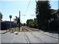 Tramway towards Merton Park