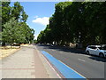 TQ2974 : Clapham Common South Side (A24) by JThomas