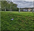 Gap in a perimeter fence / railing, Pentwynmawr