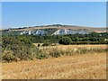 View of Old Quarries at Southerham