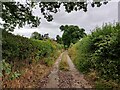 Monument Lane in Hagley