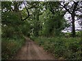 Bridleway towards Iverley Lane