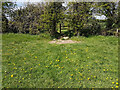 Stone Stile, Alveston