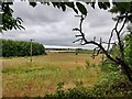 Farmland next to Talbotshill Coppice